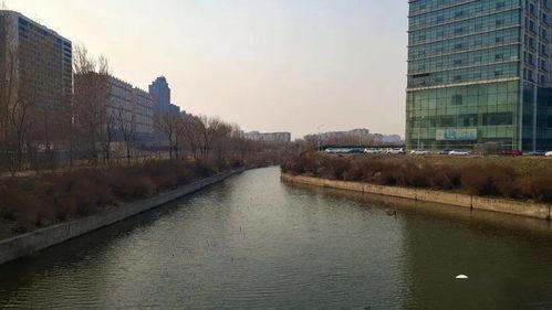 长春荷园路最新爆料,揭秘荷园路改造背后的故事